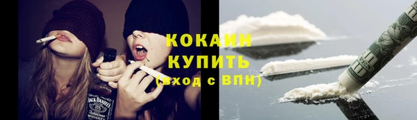 тгк Богородск
