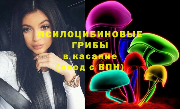 COCAINE Богородицк