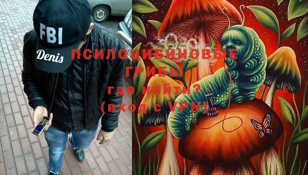 COCAINE Богородицк