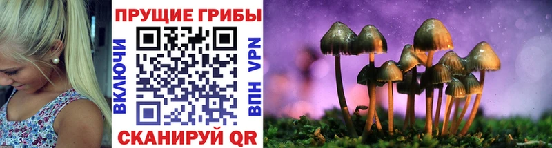 купить  цена  Рыбинск  Галлюциногенные грибы ЛСД 